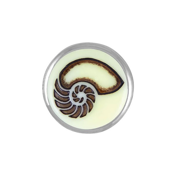 Carved Sea Shell
