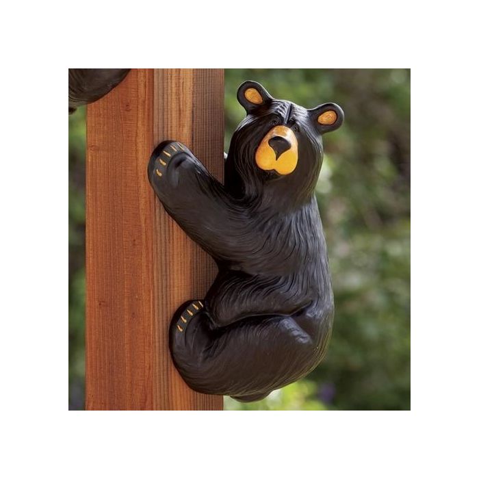 Climber Bear Grand