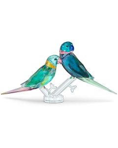 Parakeet Couple